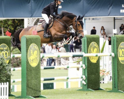 jumper Opaline van Thornesele (Belgian Warmblood, 2014, from Vigo d'Arsouilles)