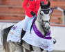 jumper Coupon 6 (Hanoverian, 2011, from Coupe de Coeur 2)