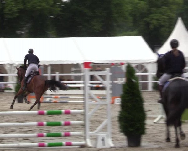 Reitturnier Dortmund-Somborn 2023