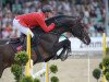 stallion Cumberland 6 (Oldenburg show jumper, 2008, from Calvaro Z)