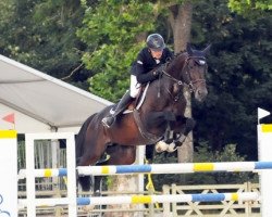 stallion Baki du Pomiez (Selle Français, 2011, from Kannan)