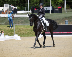 broodmare First Püppie SL (Westphalian, 2017, from Federico Fellini)