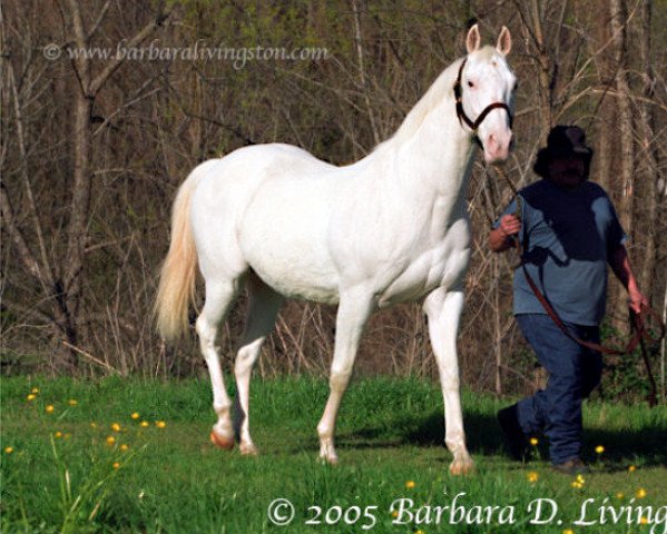 horse Grand Espoir Blanc xx (Thoroughbred, 1984, from One for All xx)