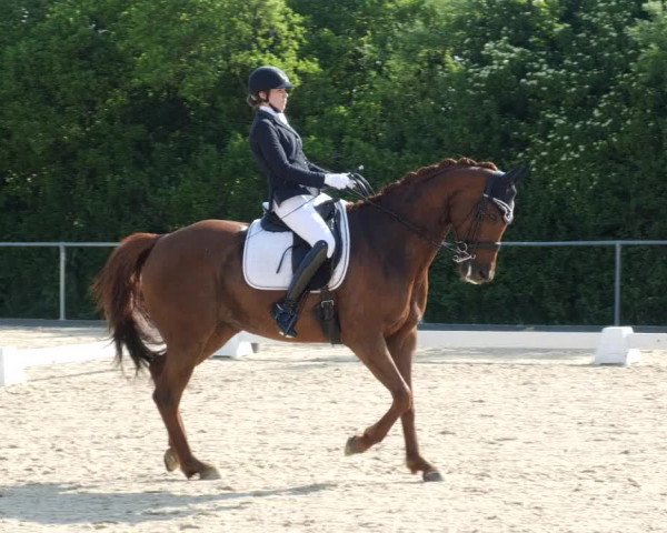 Reitturnier Blaubeuren 2023