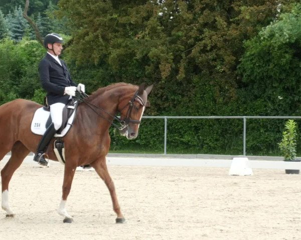 Reitturnier Blaubeuren 2023