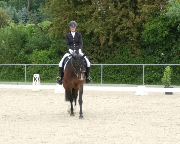 Reitturnier Blaubeuren 2023