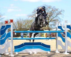 jumper Ilida (Holsteiner, 2016, from Balou du Rouet)