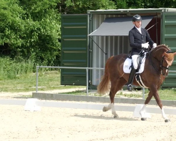 Reitturnier Blaubeuren 2023