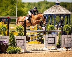 jumper Chaplin W (KWPN (Royal Dutch Sporthorse), 2007, from Vermont)