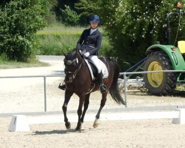 Reitturnier Blaubeuren 2023