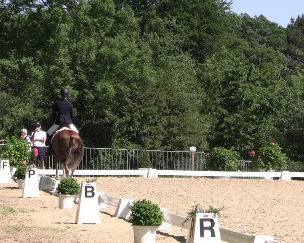 Reitturnier Derbypark Hamburg Klein-Flottbek 2023
