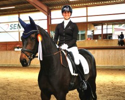 dressage horse Filandro 4 (Oldenburg, 2017, from Finest)