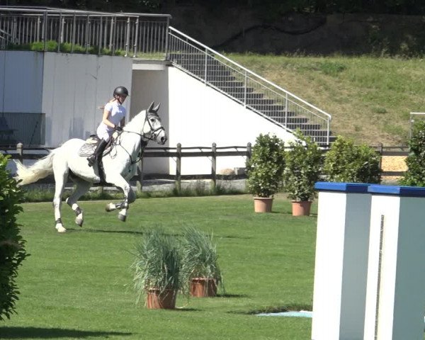 Reitturnier Derbypark Hamburg Klein-Flottbek 2023