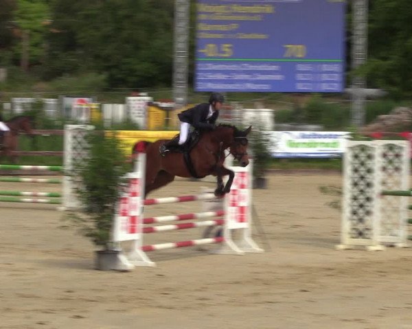 Reitturnier Schönfeld 2023