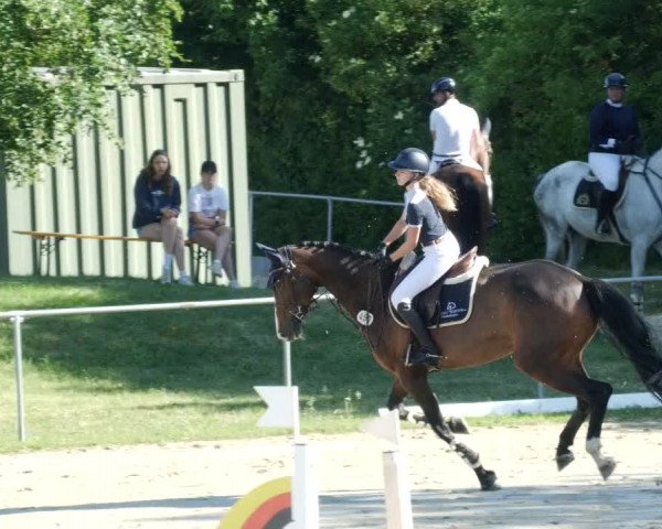 Reitturnier Blaubeuren 2023