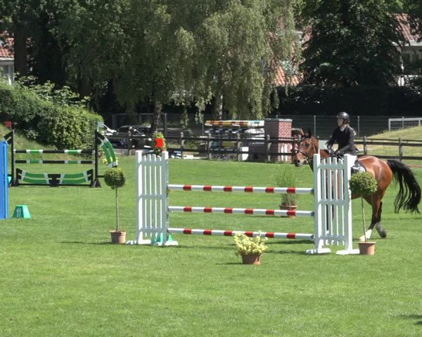 Reitturnier Derbypark Hamburg Klein-Flottbek 2023