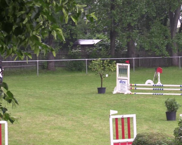 Reitturnier Lengenfeld/Vogtl. 2023