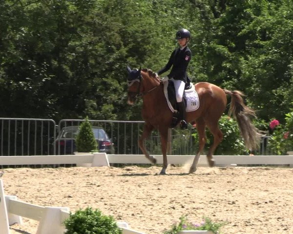 Reitturnier Derbypark Hamburg Klein-Flottbek 2023