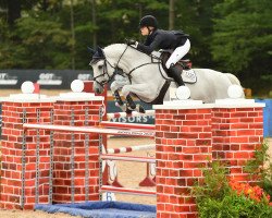 jumper Remmits Delphi (KWPN (Royal Dutch Sporthorse), 2008, from Zürich)