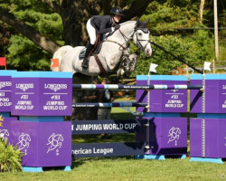 jumper Bec Lorenzo (Irish Sport Horse, 2010, from Livello)