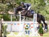 jumper Margot Fs (German Sport Horse, 2016, from Viscount 22)