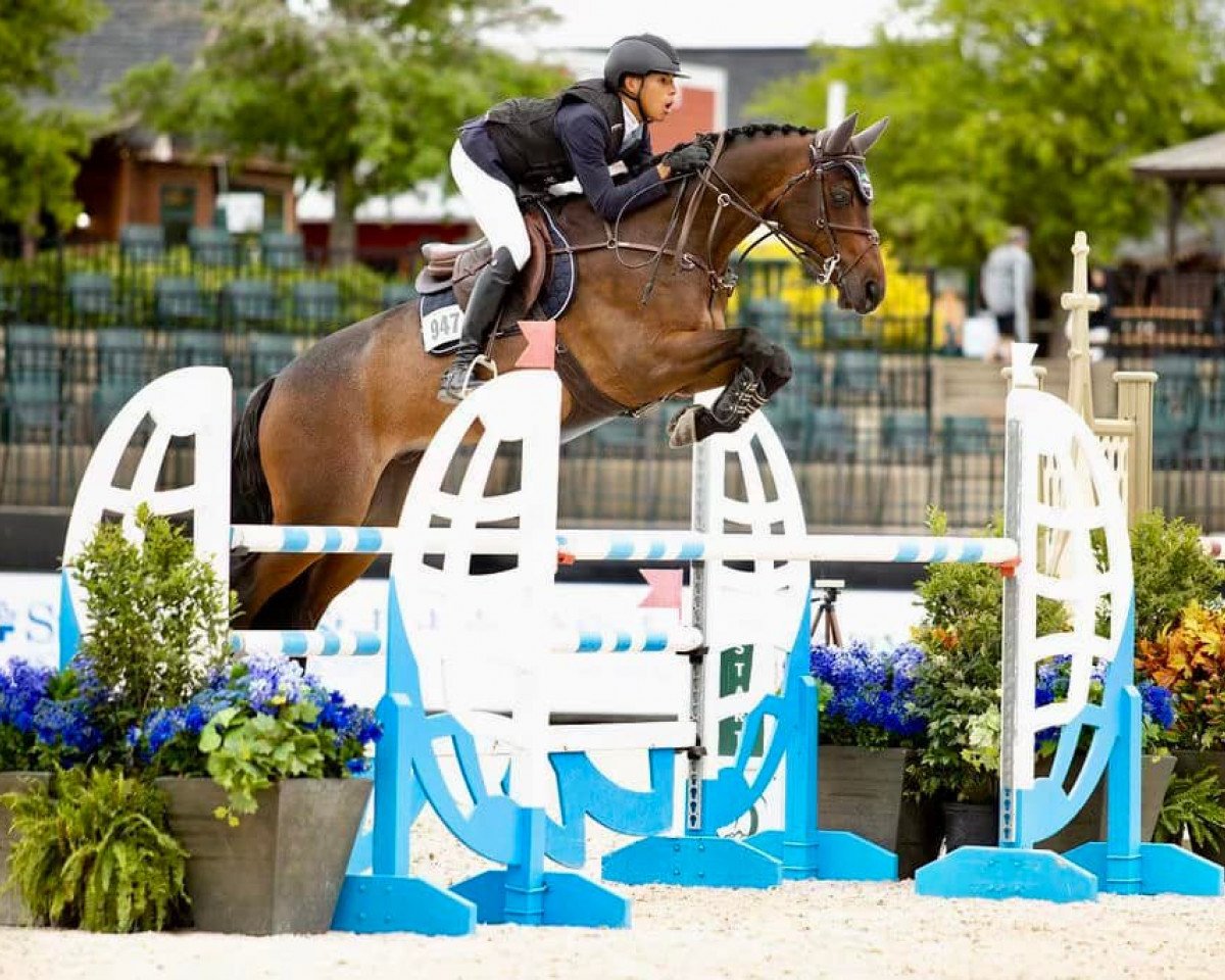 jumper Delrito (KWPN (Royal Dutch Sporthorse), 2008, from Vittorio)
