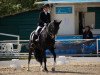 dressage horse Fürst Lady S (Württemberger, 2009, from Fürst Hohenstein)