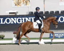 dressage horse Sir Johny (Westphalian, 2018, from Sir Heinrich OLD)