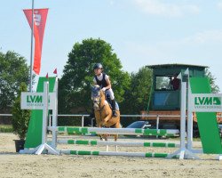 dressage horse Pina 118 (Welsh-Pony (Section B), 2016, from Blue Stone Swing Boy)