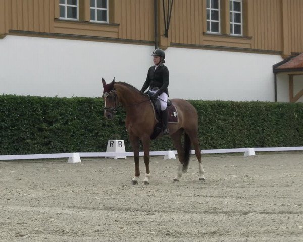 Reitturnier Avenches 2023