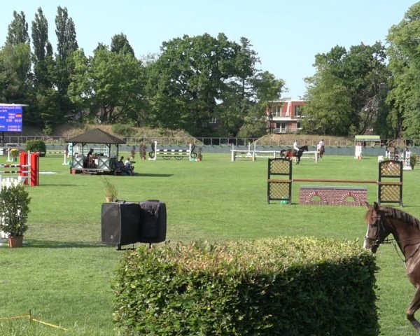 Reitturnier Derbypark Hamburg Klein-Flottbek 2023
