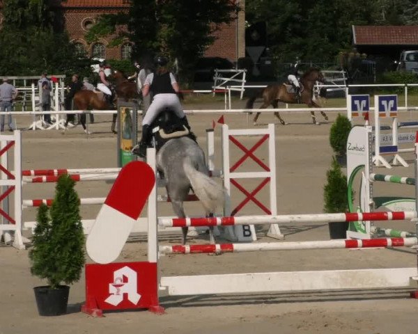 Reitturnier Ostenfelde-Vornholz 2023