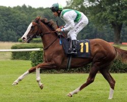 horse Richgörl in Love xx (Thoroughbred, 2013, from Sholokhov xx)