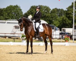 dressage horse Amazing Aero (Westphalian, 2018, from Arango)