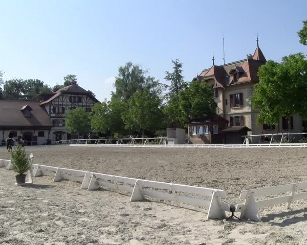 Reitturnier Avenches 2023