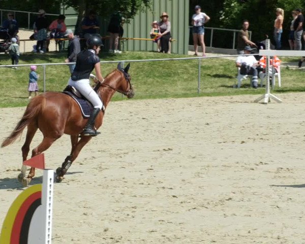 Reitturnier Blaubeuren 2023