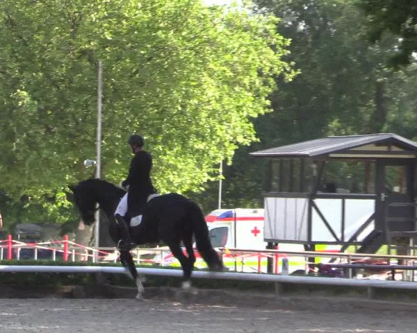 Reitturnier Hamm-Rhynern 2023