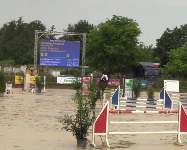 Reitturnier Schönfeld 2023