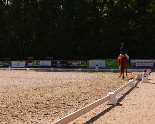 Reitturnier Ruhlsdorf 2023