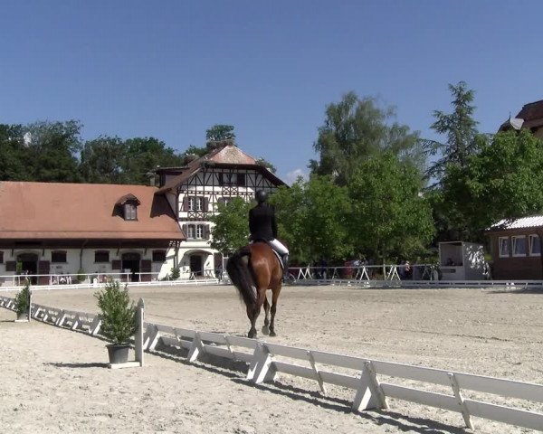 Reitturnier Avenches 2023