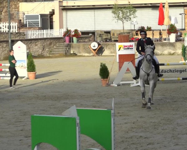 Erntedank Springturnier Nörten-Hardenberg 2021