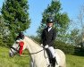 dressage horse Cushla 3 (Pony without race description, 2013)