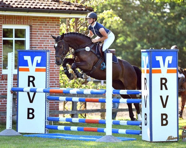 jumper Captain Casy (Oldenburg, 2016, from Casalido)