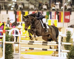 jumper King Clooney (Holsteiner, 2007, from Canturo)