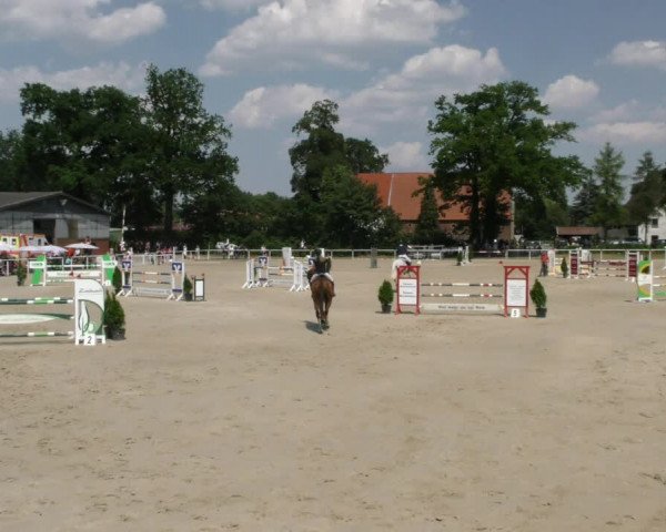 Reitturnier Ostenfelde-Vornholz 2023