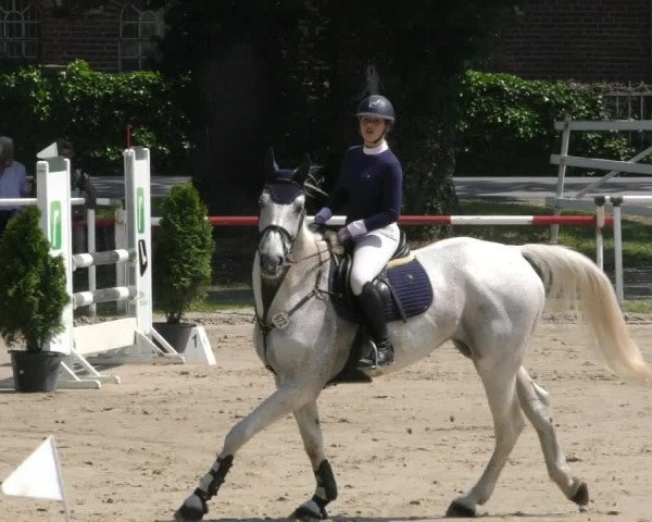 Reitturnier Ostenfelde-Vornholz 2023