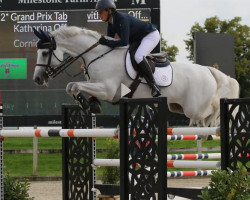 jumper Cornido (German Sport Horse, 2012, from Cornet Obolensky)