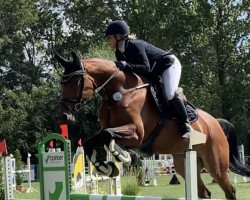 jumper Casallisa (Oldenburg show jumper, 2015, from Casallco)