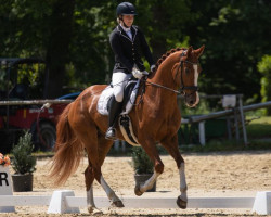 dressage horse Ferrero Deluxe (Hanoverian, 2017, from Finnigan)