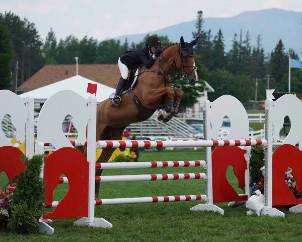 Springpferd Hhs Flo (Irish Sport Horse, 2005, von Fortunus)